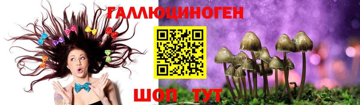Галлюциногенные грибы MAGIC MUSHROOMS  Псилоцибиновые грибы Psilocybe  сколько стоит  Вход с VPN  Александров 